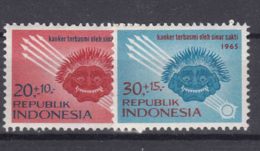 Indonesia 1965 Mi#488-489 Mint Never Hinged - Indonesia