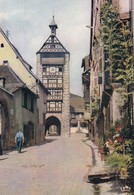 Cp , 68 , RIQUEWIHR , Le Dolder (XIIIe S.) - Riquewihr