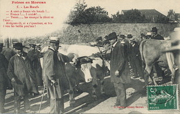 Foire Aux Bovins Boeufs D' Attelage  Elevage  En Morvan - Foires