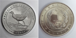 AC - PURPLE SWAMPHEN PORPHYRIO PORPHYRIO BIRDS OF ANATOLIA - TURKEY COMMEMORATIVE NICKEL - COPPER COIN UNC TURKEY 2018 - Turkey