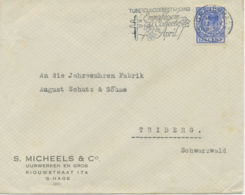 NIEDERLANDE 1933 Wilhelmina 12 ½ C S‘GRAVENHAGE WERBEStpl TUBERCULOSEBESTRIJDING - Brieven En Documenten