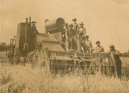 Moissonneuse Datée D'aout 1956 - Tracteurs