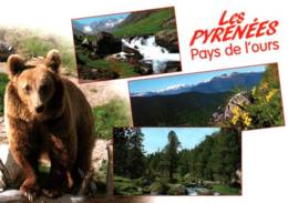 CPM - PYRENEES - PAYS De L'OURS ... - Bears