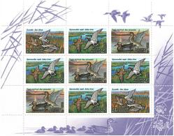 Russia.1992 Ducks '92. Sheetlet Of 9: 3 X1R, 4 X2R, 2 X3R  254-56 KB - Unused Stamps