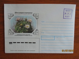 ESTONIA USSR PPI POST FRANKING  , CACTUS  , 1983 POSTAL STATIONERY COVER , 0 - Sukkulenten