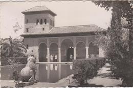 Espagne  Granada  La Alhambra  Torre De Las Damas Tour Des Dames - Granada