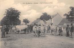 18-CULAN- SUR LE CHAMP DE FOIRE - Culan