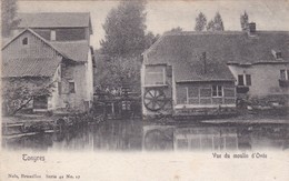 Tongeren - Vu Du Moulin D'Ovée - Molen - Tongeren