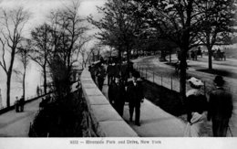 CPA   ETATS-UNIS---REVERSIDE PARK AND DRIVE---NEW YORK---1909---ANIMEE - Parques & Jardines