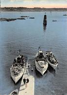 Ile De Bréhat             22        Les Vedettes Au Départ De Port Clos  10x15            (voir Scan) - Ile De Bréhat