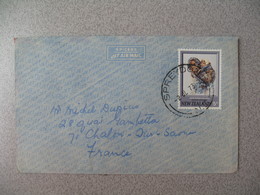 Nouvelle-Zélande Spreydon 1973 Lettre  Pour La France - New Zealand Cover ( Timbre Maori Femme Et Enfant  ) - Cartas & Documentos