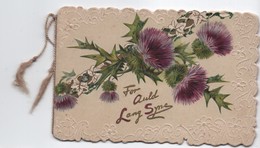 Carte De Voeux/Meilleurs Souhaits/ Joyeux Noël/Bouquet De Chardons/For Auld Lang Syne/TUCK & SONS/vers 1900-10   CVE151 - Neujahr