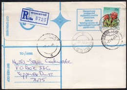 RSA 1981 MiNr. 524  Freimarken: Protea Grandiceps  Auf R- Brief/ Letter - Covers & Documents