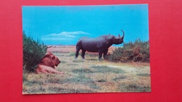 EAST AFRICAN WILD LIFE.RHINO AND LION - Rhinocéros
