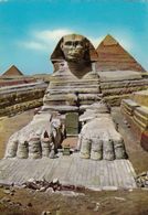 Cp , ÉGYPTE , GIZEH , The Great Sphinx Of Giza - Gizeh