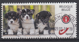 BELGIË - (PUPPY'S) (Grote 1) - Used