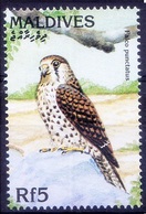 Maldives 1997 MNH, Birds Of Prey, Mauritius Kestrel (Falco Punctatus) - Adler & Greifvögel