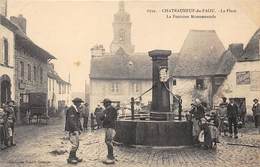 29-CHATEAUNEUF-DU-FAOU- LA PLACE , LA FONTAINE MONUMENTALE - Châteauneuf-du-Faou