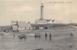 29-ILE-DE-BATZ- LE PHARE - Ile-de-Batz