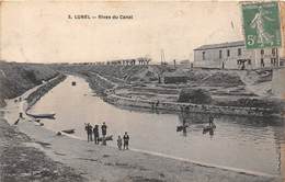 34-LUNEL- RIVES DU CANAL - Lunel