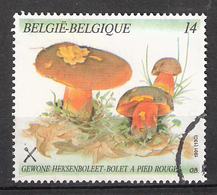 Belgium 1991 Mushrooms, Dotted Stem Bolete, (Boletus Erythropus), Mi 2472  Cancelled - Usati
