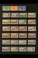 1937-53 ALL DIFFERENT FINE MINT COLLECTION Presented On A Pair Of Stock Pages & Includes A Complete Run From Coronation  - Ascension
