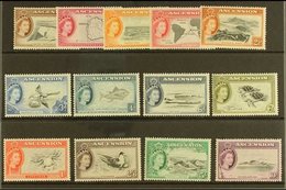 1956 Complete Definitive Set, SG 57/69, Never Hinged Mint (13 Stamps) For More Images, Please Visit Http://www.sandafayr - Ascension