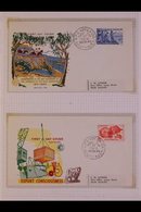 FIRST DAY COVERS AND NEVER HINGED MINT SETS 1946-1996 Impressive All Different Collection In Two Volumes. Illustrated FD - Other & Unclassified