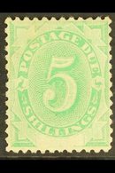 POSTAGE DUES 1902 5s Emerald Green, White Space At Foot, SG D8, Very Fine Mint. For More Images, Please Visit Http://www - Andere & Zonder Classificatie