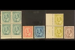 1903-12 KEVII MINT SELECTION Presented On A Stock Card That Includes 1c Deep Green Marginal Block Of 4 (SG 174) The Two  - Altri & Non Classificati