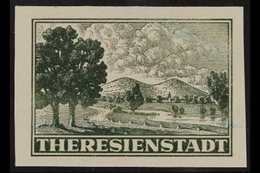 BOHEMIA AND MORAVIA "ZULASSUNGSMARKE" 1943 Grey-green, Imperforate, Michel 1U, Never Hinged Mint, 4 Large Margins, Signe - Autres & Non Classés