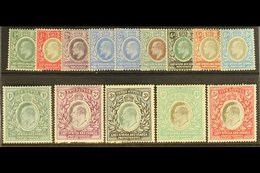 1904 - 7 Ed VII Set To 5r Complete, Wmk MCA, SG 17/30, Very Fine Mint. (13 Stamps) For More Images, Please Visit Http:// - Vide