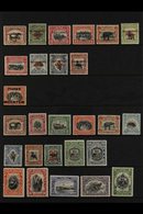 1922-1931 FINE MINT COLLECTION On Stock Pages, All Different, Includes 1922 "Exhibition" Opts Basic Set To 16c, 1925-28  - Noord Borneo (...-1963)