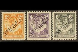 1938-52 KGVI SPECIMENS Presented On A Stock Card & Include 2d Yellow-brown, 4d Dull Violet & 6d Grey, Each Perfin "SPECI - Northern Rhodesia (...-1963)