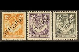 1938-52 KGVI SPECIMENS Presented On A Stock Card & Include 2d Yellow-brown, 4d Dull Violet & 6d Grey, Each Perfin "SPECI - Noord-Rhodesië (...-1963)