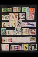 1961-1980 NEVER HINGED MINT COLLECTION On Stock Pages, ALL DIFFERENT Complete Sets, Includes 1964-65 Birds Set, 1966-67  - Papúa Nueva Guinea