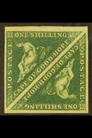 CAPE OF GOOD HOPE 1855 1s Deep Dark Green, SG 8b, Superb Mint Square Pair With Large Margins All Round, Brilliant Colour - Unclassified