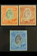 ORANGE RIVER COLONY REVENUES 1903 KEVII 10s Orange & Green, £2 Brown & Violet, Wmk Crown CC, 1905 3s Purple & Blue On Bl - Zonder Classificatie