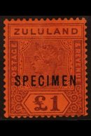 ZULULAND 1894 £1 Purple / Red Opt'd "SPECIMEN", SG 28s, Mint, Slightest Rub At Top. For More Images, Please Visit Http:/ - Zonder Classificatie