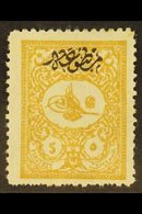 1901 5pi Yellow-buff Foreign Mail With Printed Matter Overprint (Michel 113 A, SG N194), Fresh Mint, Some Shortish Perfs - Altri & Non Classificati