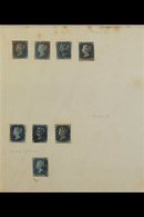 1840 TWOPENNY BLUES Ancient Album Page With EIGHT Used Examples, Four Each Of Plate 1 & Plate 2 With A Range Of Shades,  - Other & Unclassified