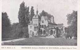 Brusseghem - Brabant - Château De Wolvendael Au Baron Léon De Viron - Pas Circulé - Animée - TBE - Merchtem - Merchtem