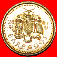 + GREAT BRITAIN (1973-2007): BARBADOS ★ 5 CENTS 2001 MINT LUSTER! LOW START ★ NO RESERVE! - Barbados (Barbuda)