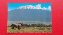 AFRICAN WILD LIFE.RHINO AGAINST MT.KILIMANJARO - Rhinocéros