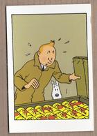 CPSM TINTIN ET MILOU - Le Crabe Aux Pinces D'or - HERGE - Hergé - TB DESSIN - Editions Hazan - Hergé