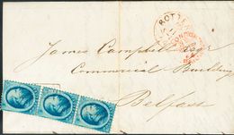 Holanda. SOBREYv . 1864. 5 Cent Blue, One Stamp And Pair. ROTTERDAM To BELFAST (NORTH IRELAND). Cancelled With Framed FR - ...-1852 Vorläufer