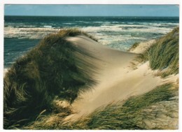 Föhr - Dünen Und Meer - Föhr