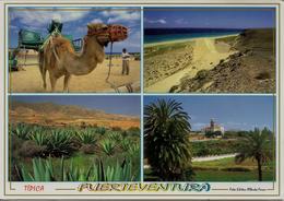 CPM Espagne, Fuerteventura, (multivues) (timbre De Poste Privée Suisse) - Fuerteventura