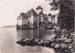 SUISSE,SWITZERLAND,SWISS, HELVETIA,SCHWEIZ,SVIZZERA ,MONTREUX,VAUD,RIVIERA PAYS D'ENHAUT,chateau Chillon,lac Lém - Montreux