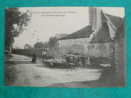 CP SCENES CHAMPETRES DU CENTRE DE LA FRANCE LA RENTRE DU PATURAGE CACHET SCEAUX SEINE  1908 - Sceaux